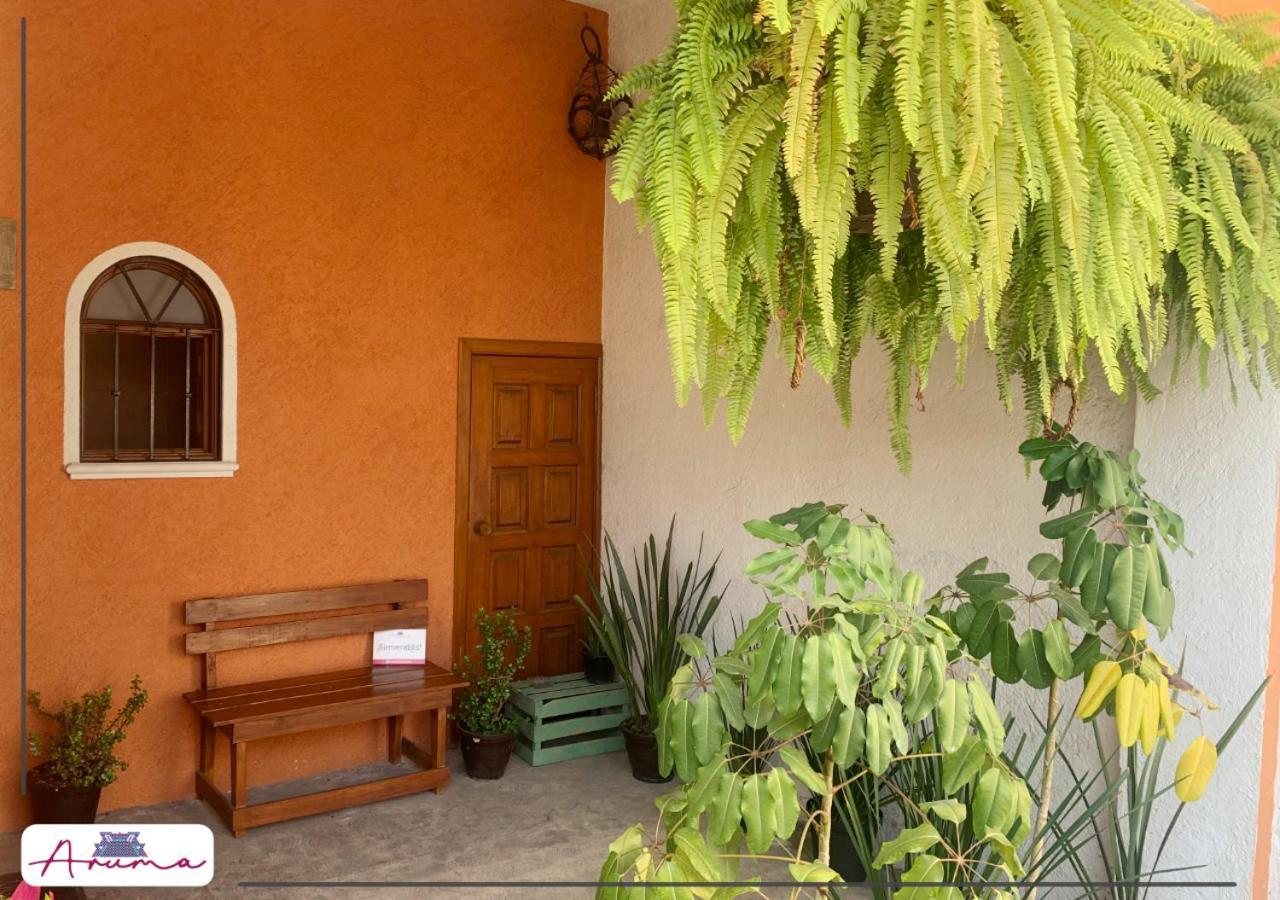 Aruma Cuernavaca Extérieur photo